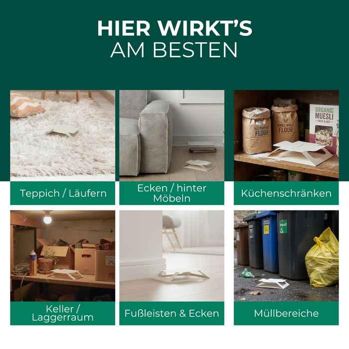 Silberkraft Brotkäferfalle an typischen Einsatzorten wie Küchenschränken, Teppichen, Ecken, Keller und Müllbereichen