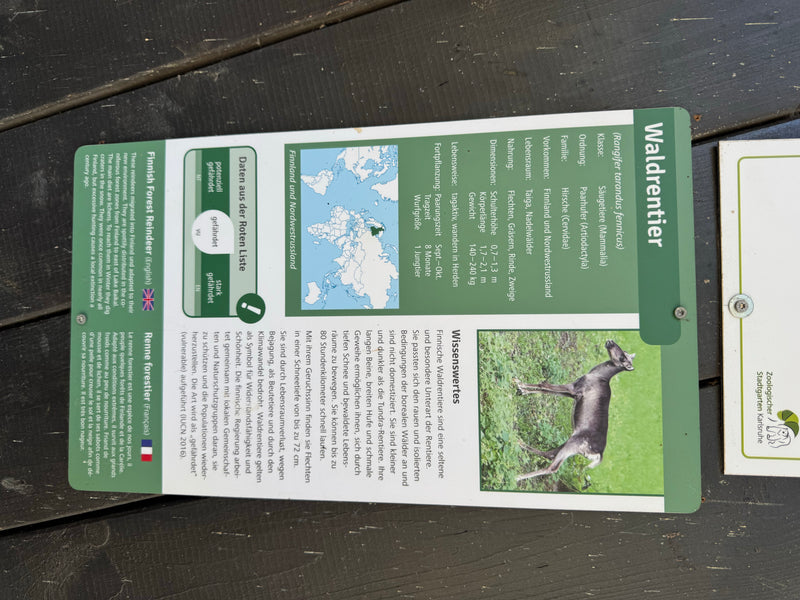 Waldrentier — Bild 3 von 3