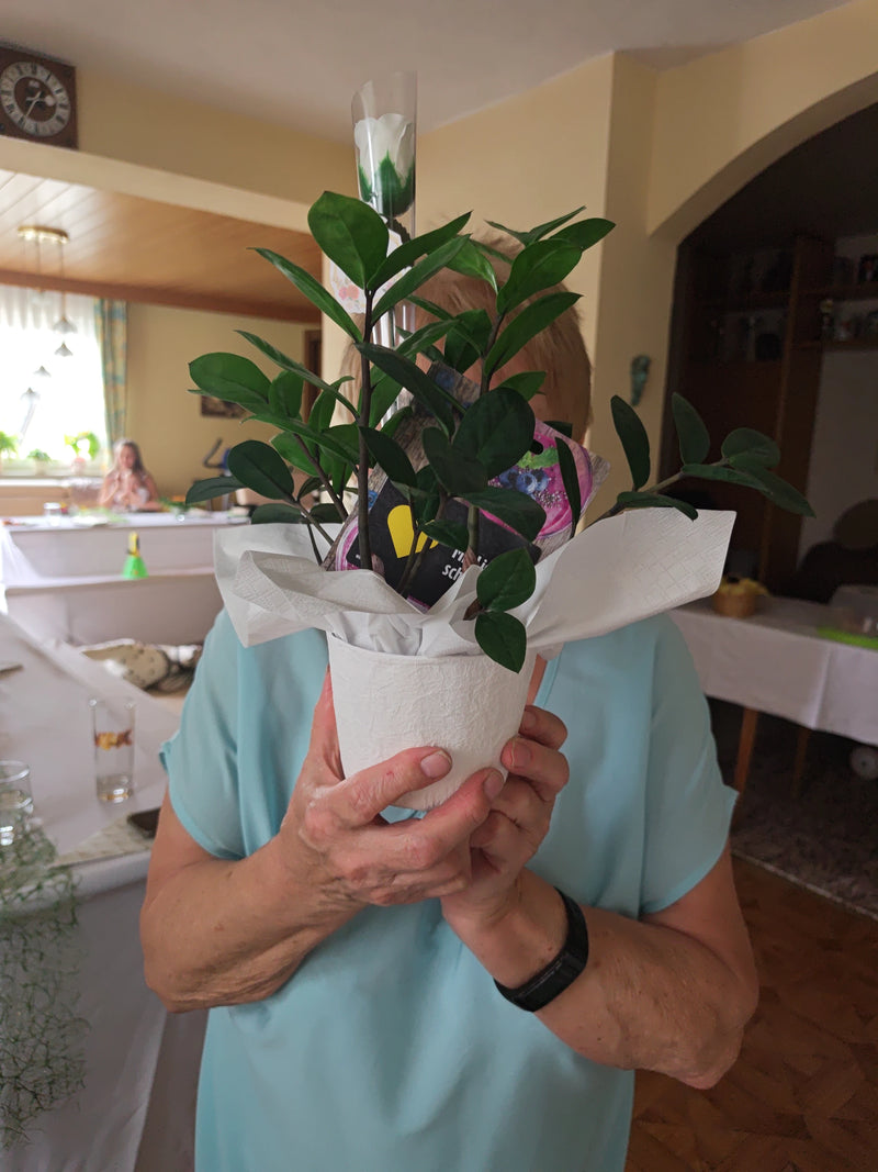 Gluecksfeder — Bild 5
