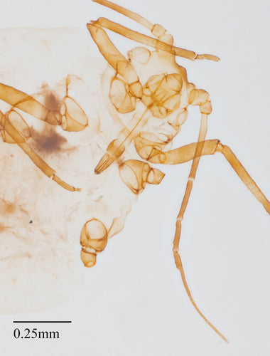 Naturaufnahme - Bild 3