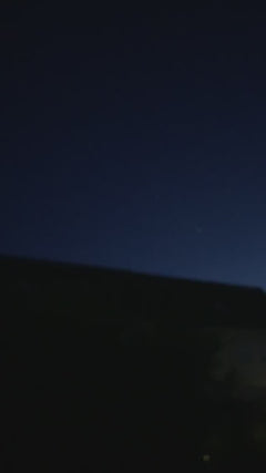Großer Leuchtkäfer - Wolfsburg, Niedersachsen, Deutschland