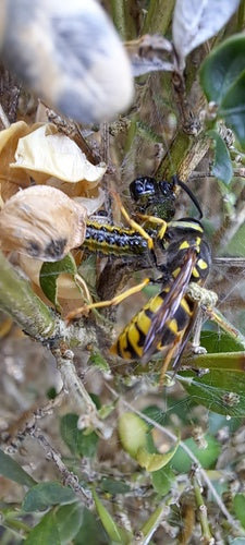 Naturaufnahme - Bild 6