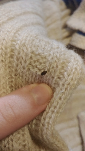 Dunkler Pelzkäfer - Bild 4