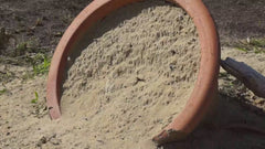 Hautflügler
