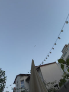 Vögel - Offenbach am Main