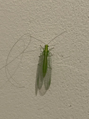 Naturaufnahme - Bild 1