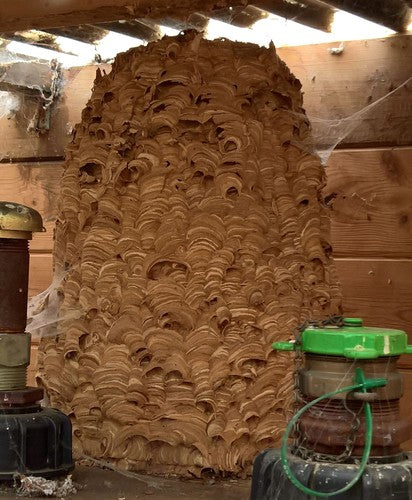 Naturaufnahme - Bild 1