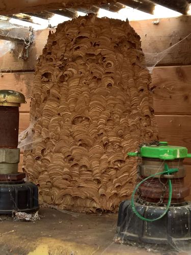 Naturaufnahme - Bild 2