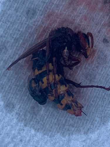 Naturaufnahme - Bild 8