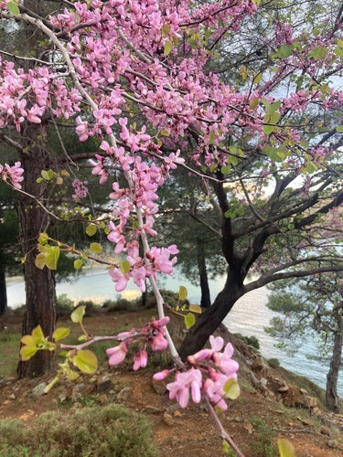 Naturaufnahme - Bild 5