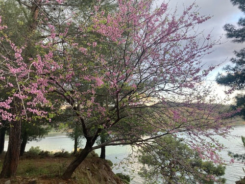 Naturaufnahme - Bild 7