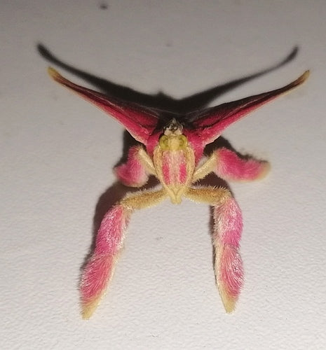 Naturaufnahme - Bild 4