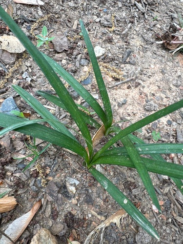 Naturaufnahme - Bild 4