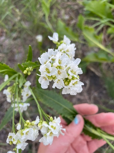 Naturaufnahme - Bild 1