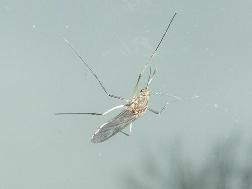 Naturaufnahme - Bild 7