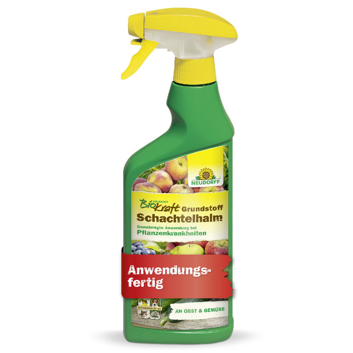 Neudorff BioKraft Grundstoff Schachtelhalm - Silberkraft