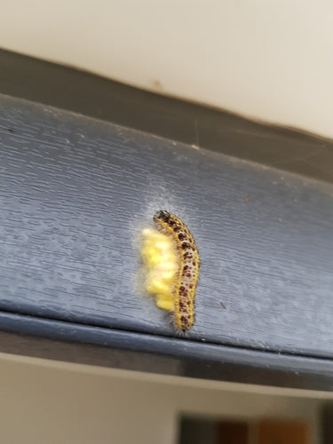 Naturaufnahme - Bild 7