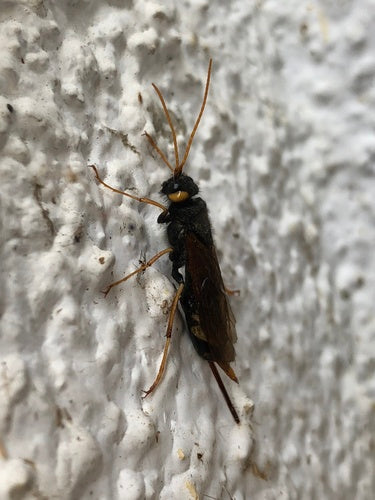 Naturaufnahme - Bild 2