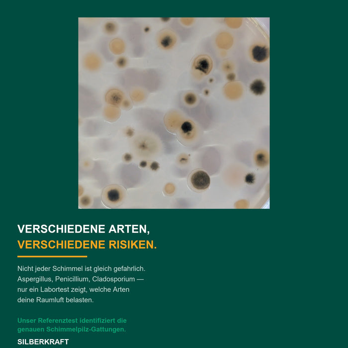 Verschiedene Schimmelpilzarten verschiedene Risiken