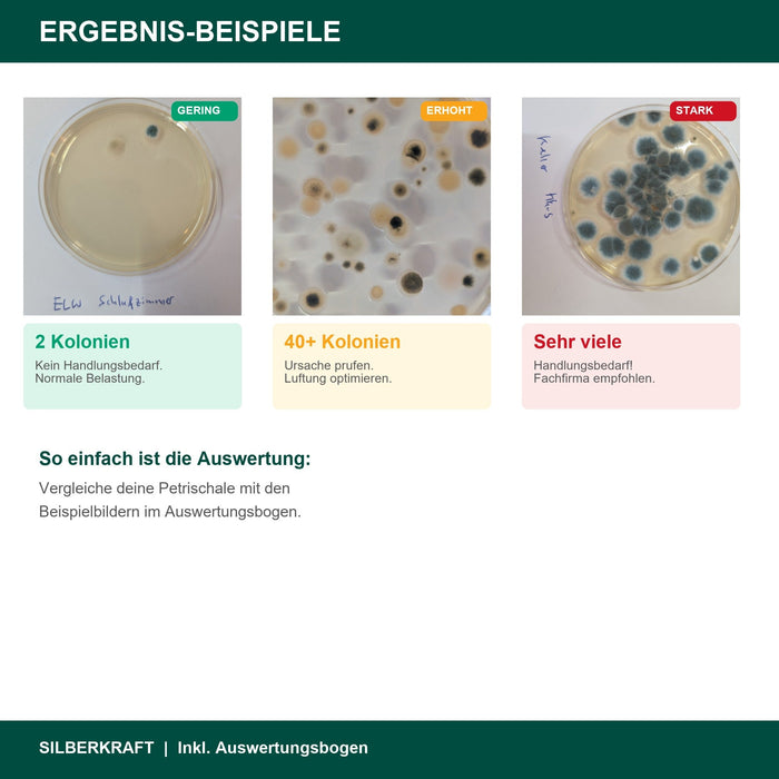 Schimmeltest Ergebnis-Beispiele - Gering Erhoht Stark