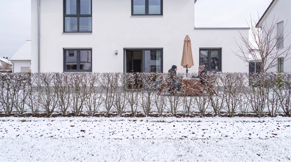 Feldahorn als 1,80 m hohe Hecke (Winter) vor der Terrasse der Nachbarn – KI-Visualisierung