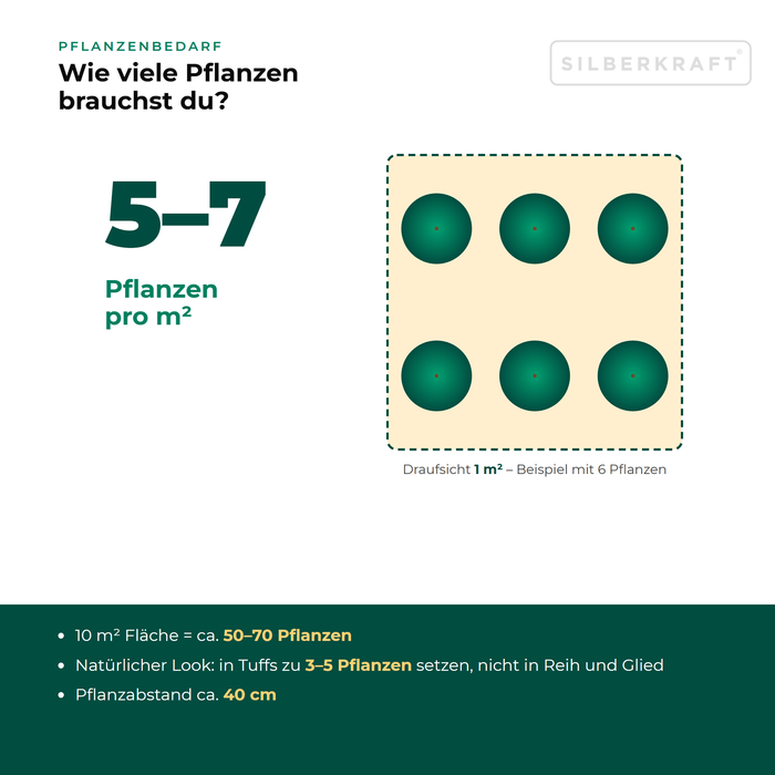 Pflanzenbedarf Echtes Herzgespann (Leonurus cardiaca): 5–7 Pflanzen pro m², 10 m² Fläche = ca. 50–70 Pflanzen
