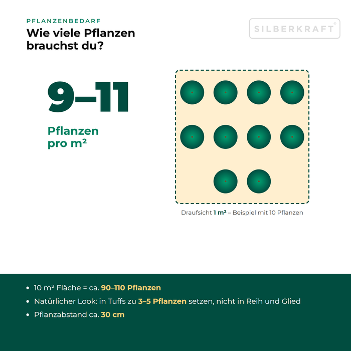 Pflanzenbedarf Fettwiesen-Margerite (Leucanthemum ircutianum): 9–11 Pflanzen pro m², 10 m² Fläche = ca. 90–110 Pflanzen