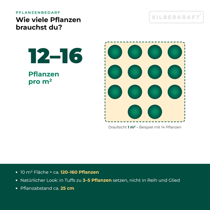 Pflanzenbedarf Frühblühender Thymian (Thymus praecox): 12–16 Pflanzen pro m², 10 m² Fläche = ca. 120–160 Pflanzen