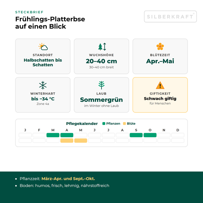 Steckbrief Frühlings-Platterbse (Lathyrus vernus) mit Standort, Wuchshöhe, Winterhärte, Giftigkeit und Pflegekalender