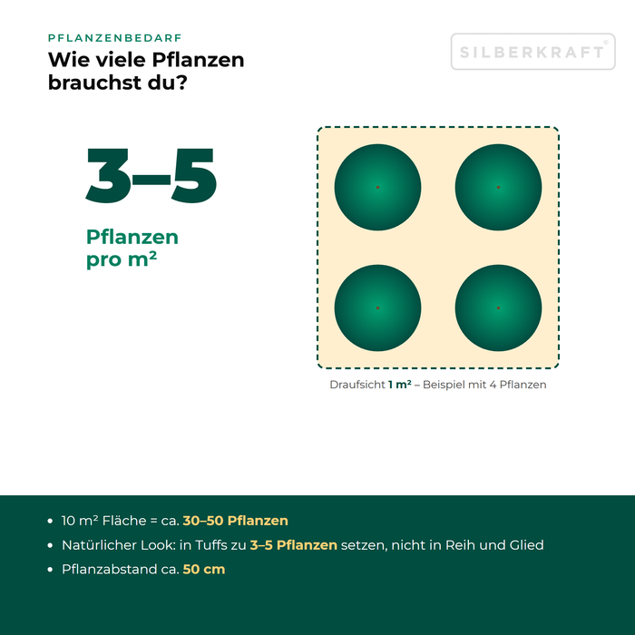 Pflanzenbedarf Wilde Malve (Malva sylvestris): 3–5 Pflanzen pro m², 10 m² Fläche = ca. 30–50 Pflanzen