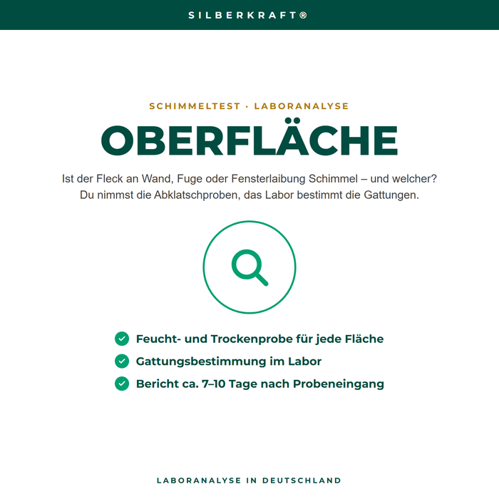 Schimmeltest Oberfläche mit Laboranalyse – ist der Fleck Schimmel und welcher?