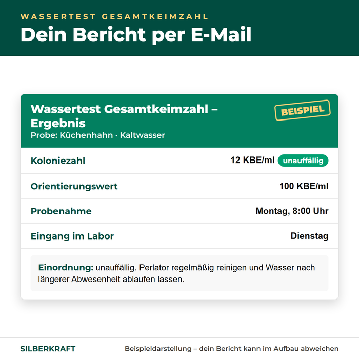 Beispiel eines Ergebnisberichts zum Wassertest Gesamtkeimzahl