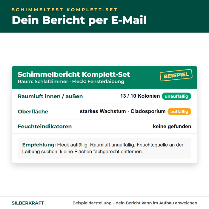 Beispiel eines Schimmelberichts zum Komplett-Set