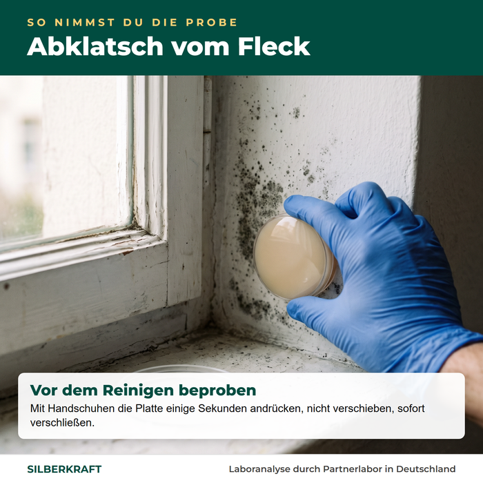 Abklatschprobe vom Fleck an der Fensterlaibung – vor dem Reinigen und mit Handschuhen