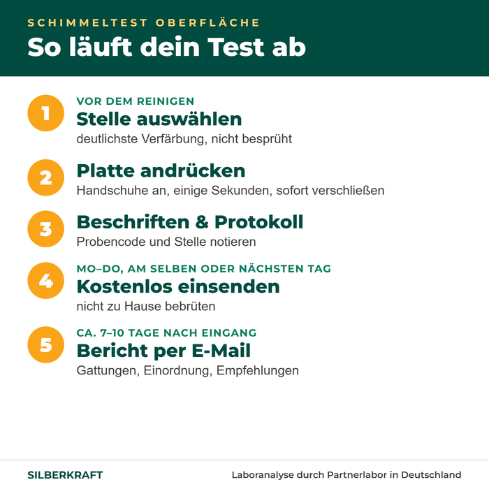 Ablauf Schimmeltest Oberfläche: Stelle wählen, Platte andrücken, beschriften, einsenden, Bericht nach 7–10 Tagen