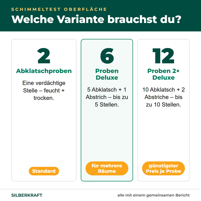 Welche Variante: 2 Abklatschproben, Deluxe mit 6 Proben oder 2× Deluxe mit 12 Proben