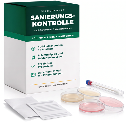 Silberkraft Sanierungskontrolle nach Schimmel- und Wasserschaden – 4 Abklatschproben und 1 Abstrich, Laboranalyse inklusive