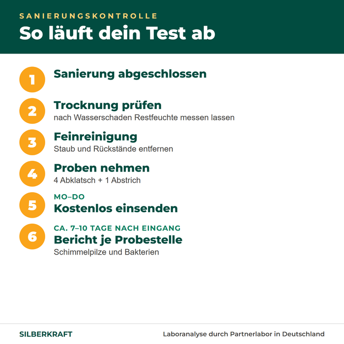 Ablauf Sanierungskontrolle: Trocknung prüfen, reinigen, Proben nehmen, einsenden, Bericht je Probestelle