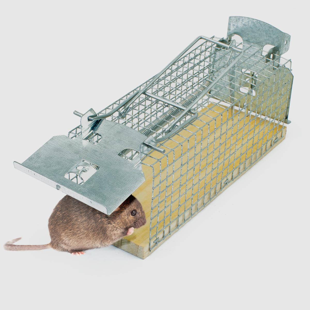 Piège à souris respectueux des animaux pour une utilisation