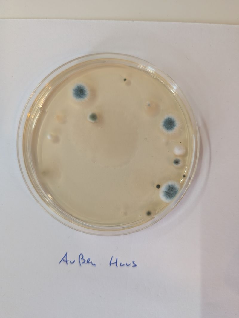 Außenluft (Referenz)